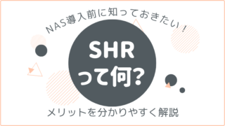 Synology独自のRAID「SHR」って何？メリットを分かりやすく解説